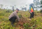Polsek Kalibunder Polres Sukabumi Bersama Forkopimcam dan Perum Perhutani Tanam 1.000 Pohon di Blok Hanjuang Selatan