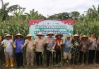 Panen Raya Polres Sukabumi Hasilkan 23 Ton Jagung