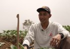 Petani Sayur di Boyolali Tersenyum Berkat MBG, Harga Naik dan Permintaan Meningkat